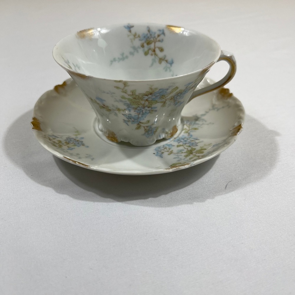 Theodore Haviland Limoges Tea Cup Saucer Set White Blue Floral Gold Trim